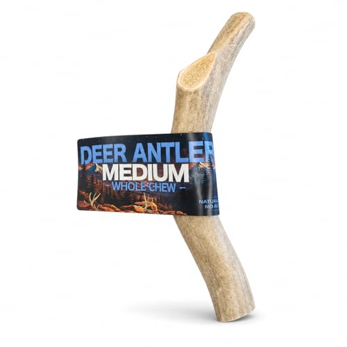 Deer Antlers for Dogs - Medium Whole, Long-Lasting Natural Chew, Great for Aggressive Chewers, No Artificial Additives, Preservatives or Fillers