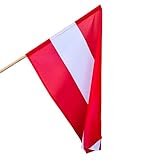 österreichische fahne kaufen Ausdrucksvolle Darstellung: Mit leuchtenden Farben und gestochen scharfen Details wird diese Flagge sicherlich Aufmerksamkeit erregen und Ihre Unterstützung oder Ihre Leidenschaft deutlich zum Ausdruck bringen. Sie ist ein großartiges Mittel, um Ihre Botschaft zu zeigen und stolz zu präsentieren