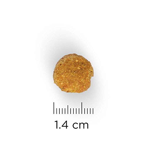 Hills Canine Adult mit Huhn 12kg, 1er Pack (1 x 12 kg Packung) - Hundefutter