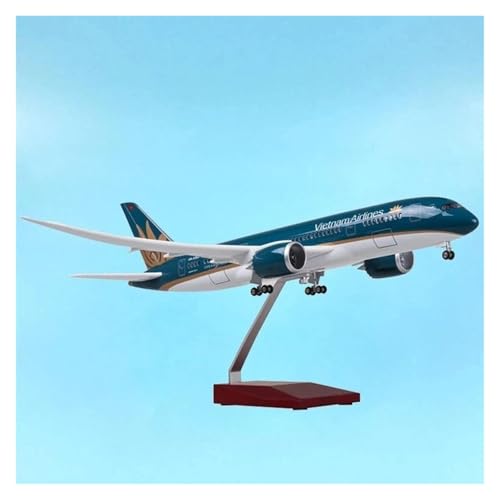 �f�B�X�v���C�X�P�[���̍q��@ 47cm 1/130 �x�g�i���q�� B787 ��s�@�R���N�V�������x���q��@�͌^�����������p ���蕨�ɍœK(With light)