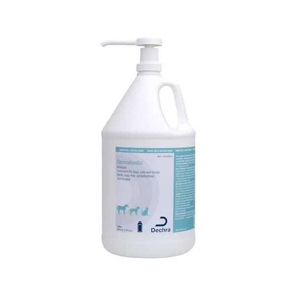 Shampoo for dogs cats and horses gallon  urban country home decor