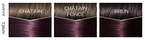 Coloration 316 Exquise Ton Sur Ton Sans Ammoniaque Gloss Cheveux 3x Plus Brillants Casting Crème Gloss 'oreal Paris La Boîte - vue 6