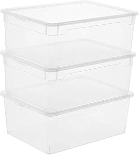 Rotho, Clear, Set of 3 storage boxes 10l with lid, Plastic (PP) BPA-free, transparent, 3 x 10l (36,0 x 26,0 x 22,0 cm)