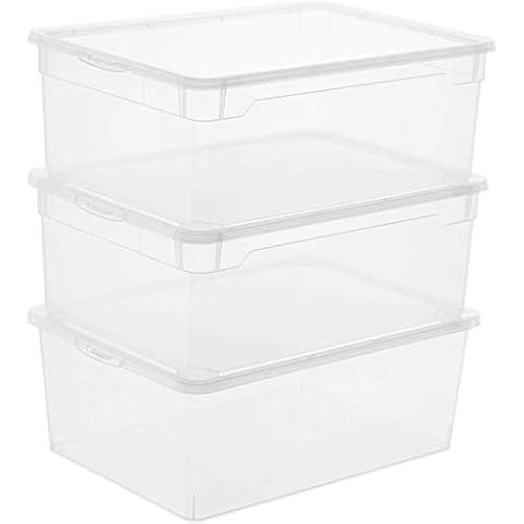 Rotho Clear Juego de 3 Cajas de Almacenamiento con Tapa de 10L Cover