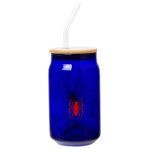 Silver Buffalo Marvel Spider-Man Spidey, Glass Tumbler, 16oz