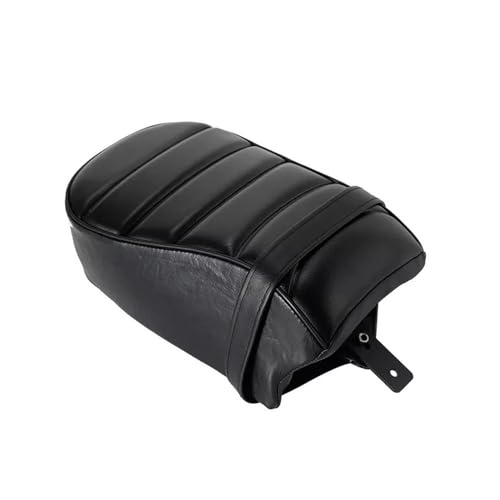 Asiento trasero de moto para compartir rutas en tu Sportster Iron 883