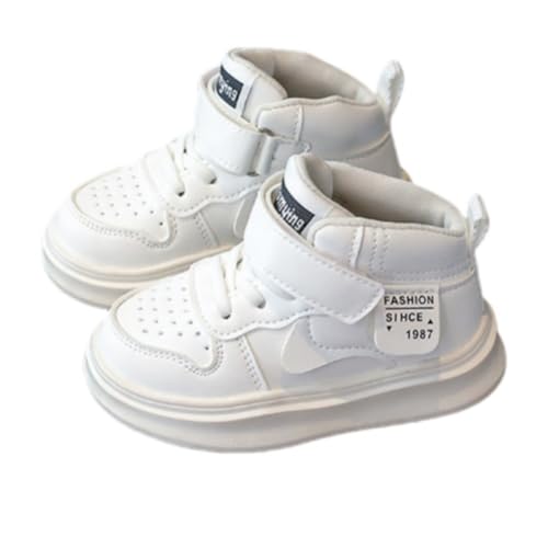 シュンソク] SYUNSOKU S-CHEETAH LEC 9750 - 製品詳細