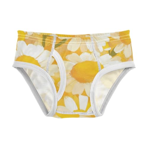 Daisy Toddler Boys Soft Kids Underwear Cute Children Panties