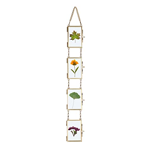 Set of 4 Mini Double-Glass Hanging Frames
