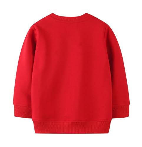 Boys Sweatshirts Long Sleeve Sweatshirts T-shirts Crew Neck Cotton Casual Sweatshirts Cartoon Tops for Boys-1552