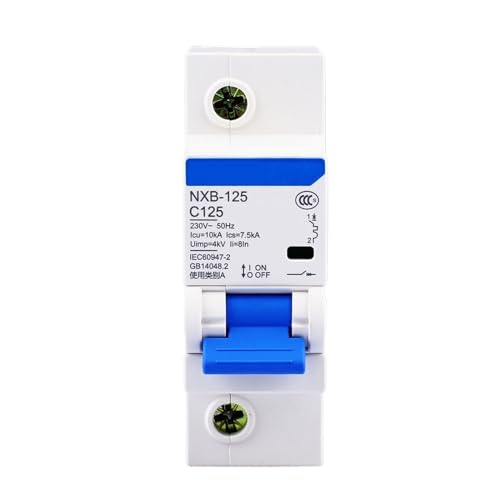 Disjoncteur MCB 1P 100A DZ47 NXB-125 protection surcharges circuit 230V 50Hz