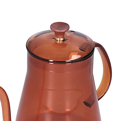 Cafetera de borosilicato alto de 600 ml con diseño de boquilla larga estilizada 5