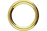 PIERCINGLINE Anello clicker a segmenti | Acciaio chirurgico | Piercing naso setto orecchio elica trago | Scelta del colore e della taglia