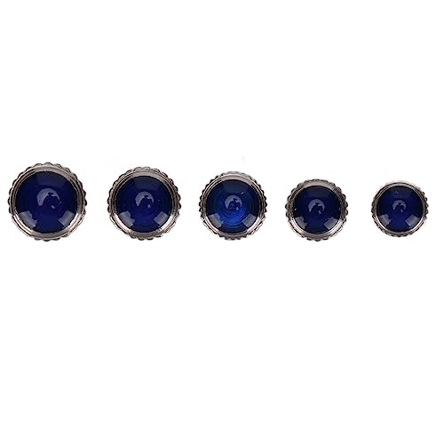 Otufan Guarda I Pezzi di Ricambio della Corona, 5PCS Accessori per Orologi Kit di Riparazione Dell'orologiaio dello Strumento della Corona Dell'orologio con Palloncino Blu in Acciaio