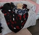 Review Image by BillieJean BillieJean