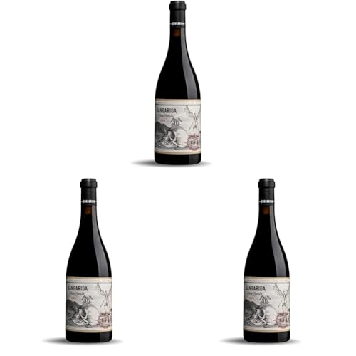 Sangarida Pico Tuerto, Vino Tinto, 75 cl (Paquete de 3)
