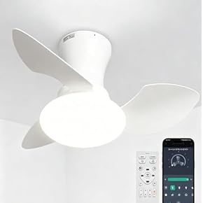 Amazon.co.jp: シーリングファン - 扇風機: ホーム＆キッチン
