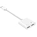 Polanfo Power Bank Universal Ultra Compact 8000mAh External Battery for Smartphone & Tablets- Silver