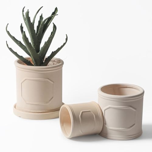 Pots de fleurs simples modernes pour sublimer une pièce vide sans encombrer - 4