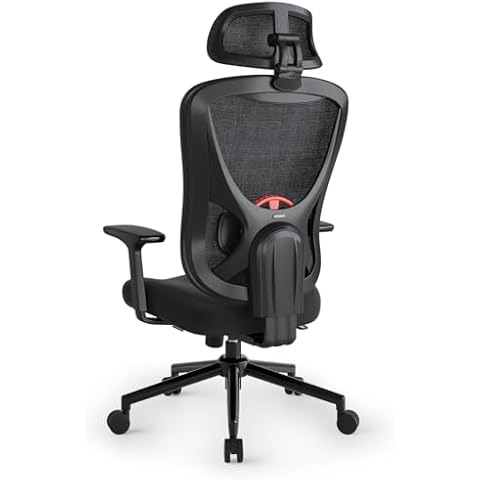 Eucladoceros Ergonomic Office Chair with Adjustable Features Cover