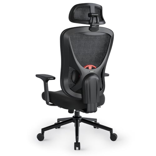 Eucladoceros Ergonomic Office Chair with 3D Lumbar Support