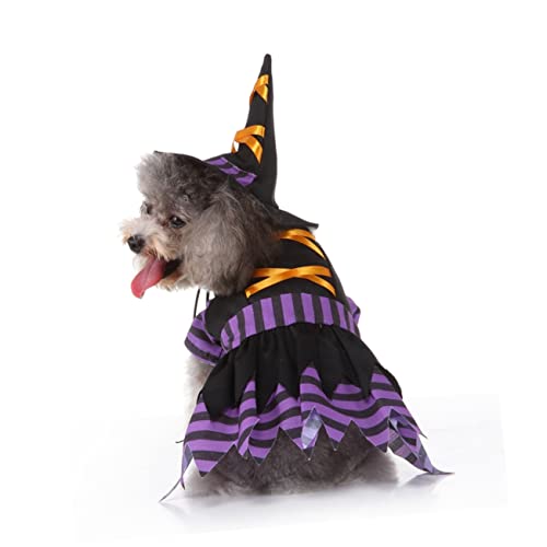 Disfraz para perro S con diseño de bruja para Halloween miniatura 4