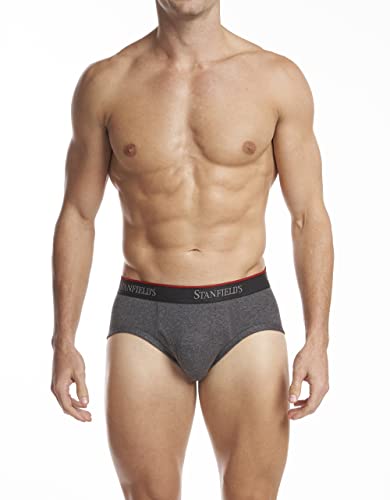 Stanfield's Men's Cotton Stretch 3-pk Brief2