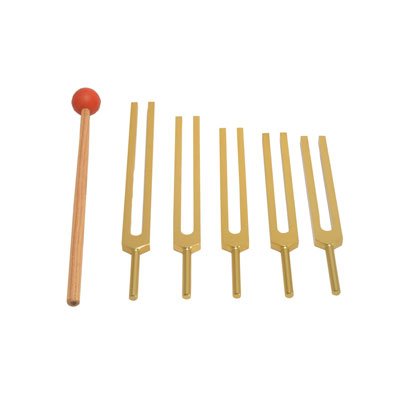 TFS Tuningforkshop Gold Finish Brain Tuning Forks