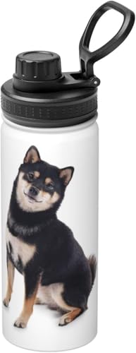 Č    ^fM ۉ ۗ X|[c{g lC XeX{g X|[cΉ RȂ 530ml j̎q ̎q  l q Aj ObY LN^[