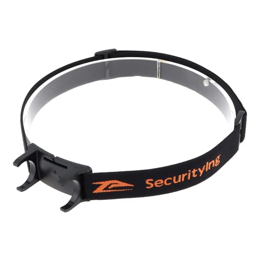 SecurityIng交換バンド