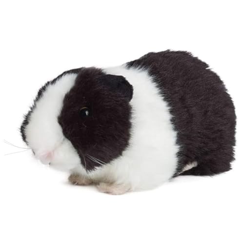 GVMJHYK 1PCS Juego Conejillo de Indias de Peluche, Peluche de Conejillo de Indias, Tierno y Ecológico para Recién Nacidos Realista Decoración de Juguete de Muñeca de Conejillo de Indias Suave