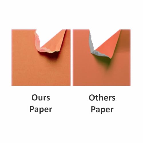 Image of Anupam A3 Basic Colour Loose Paper 160gsm 5 Colors Paper for Arts, Crafts, Quilling, Origami (25 Sheet)