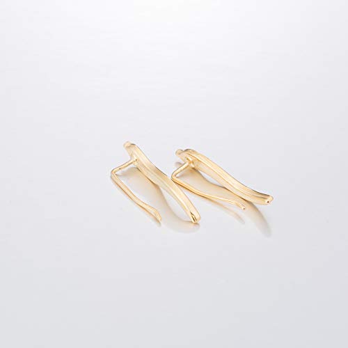 Frodete Vintage Jewelry Exquisite Gold/silver Leaf Earrings Modern Beautiful Feather Ear Stud Earrings For Women (gold) - Image 5