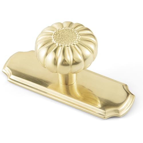 Yanxia Unlacquered Brass Cabinet Knob with Backplate Solid Brass Pumpkin Drawer Pull for Kitchen and Vanity 2 Pack
