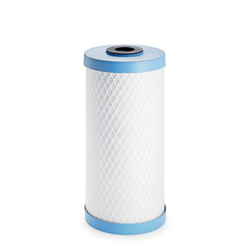 Pentair OMNIFilter CB6 Carbon Water Filter, 10