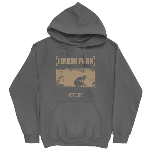 Linkin Park Unisex-Adult Standard Artist Merch, Charcoal