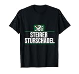 Steiermark tshirt mit Steiermarkt flagge. Geschenk für jeden steirer mit steirische Harmonika & dem wappen. Geschenkidee für jeden der den Panther liebt & Österreich als Heimatland liebt.