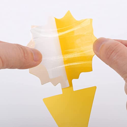 Jpmos Fruit Fly Sticky Traps 48Pcs Fungus Gnat Traps Bug Traps Gnat Killer For Indoor Outdoor House Kitchen Plants Whitefly Mosquitos Flying Insects Jpm0149 Yellow #TOP6