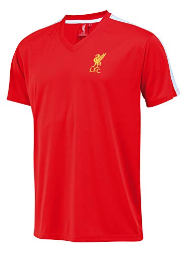 Liverpool Camiseta LFC - Colección Oficial - Talla Hombre S