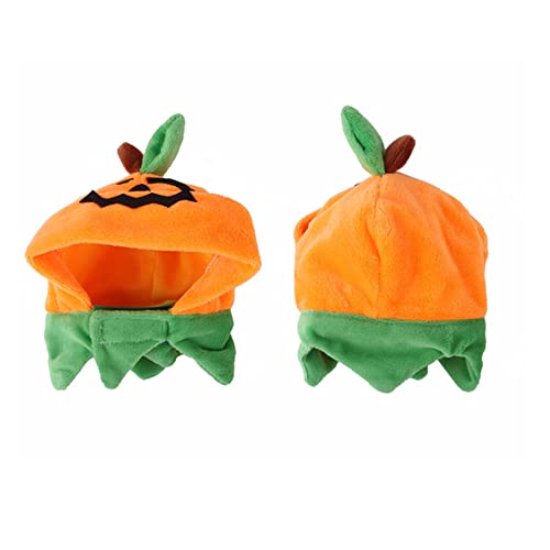 Disfraz de Halloween para perro XS con gorro y bufanda de calabaza miniatura 5