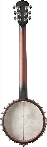 Washburn B6-A-U 6-String Open Back Banjo thumb #4