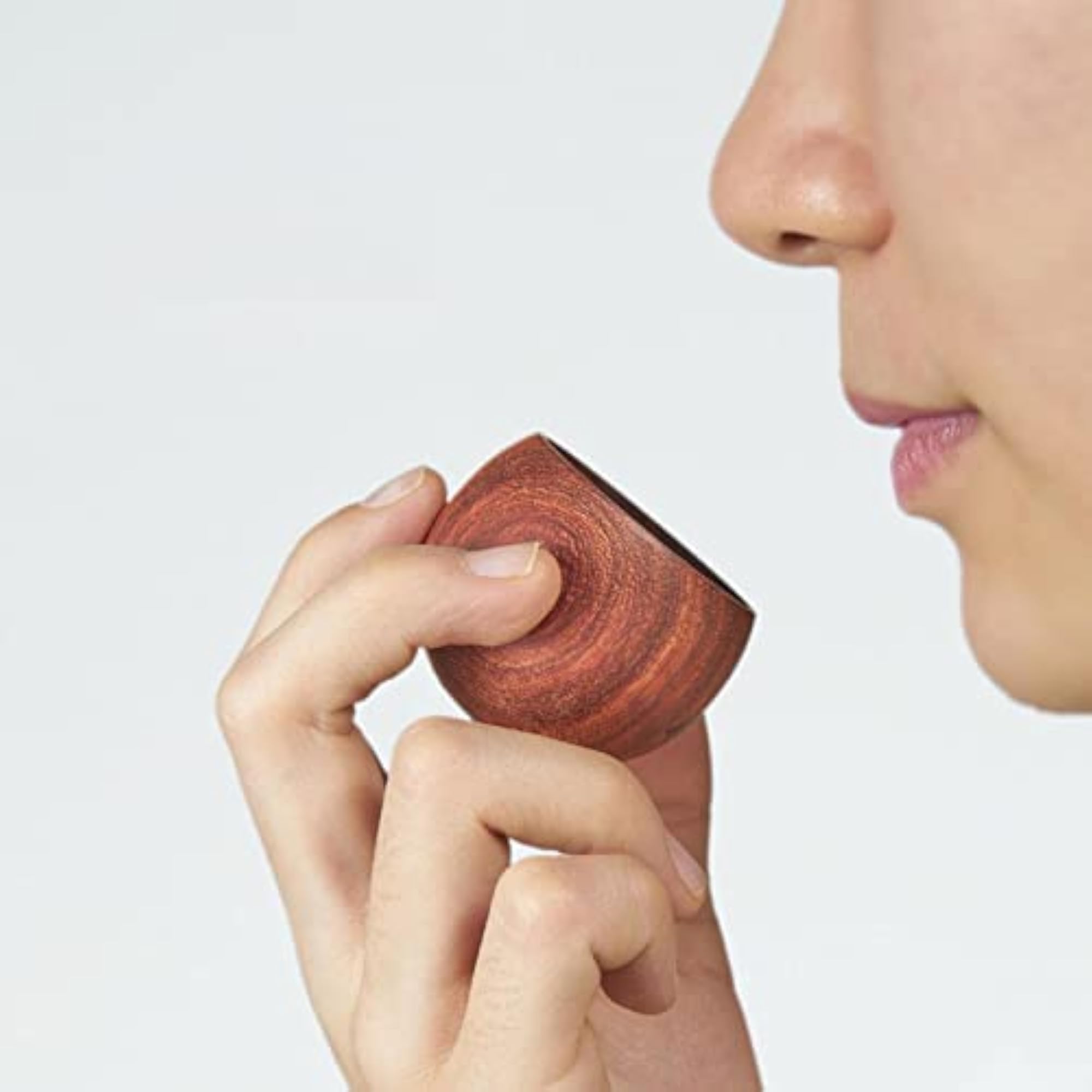 4xMini Scent Diffuser Ornament for Bookshelf