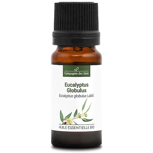 EUCALIPTO BLANCO - 10 mL - Aceite Esencial Orgánico de Calidad Superior - 100% Puro, Natural, Quimiotipado y Certificado AB