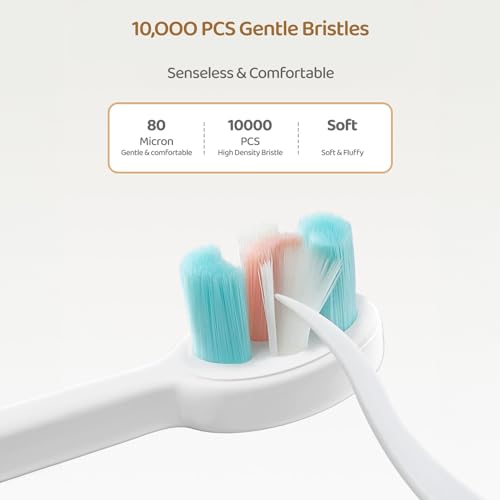 Image of StarAndDaisy Baby Tooth Brush /Manual Toothbrush 1 Year + Kids With Soft And Fluffy 10000 Gentle Bristles, 80 Micron Split-Beam Bristle, Non-Slip Comfortable Dinosaur Handle (Brown, 1), 1 count