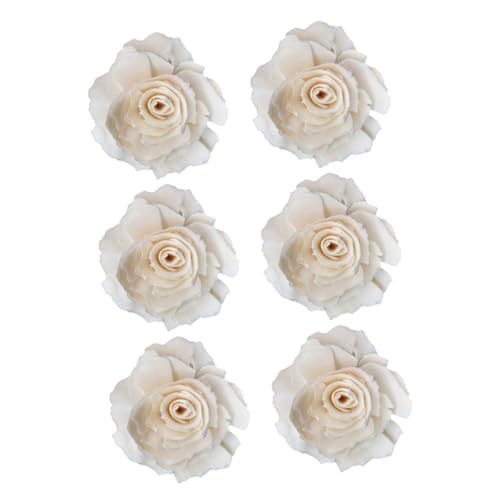 BESPORTBLE 6 Piezas Difusores de Aroma sin Llama con Flores Secas de Ratán Blancas Material Natural y Ecológico para Ambientación Hogar y Oficina