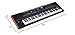 Roland V-COMBO 73-note Live Performance Waterfall Keyboard (VR-730)