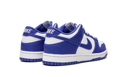 Nike Dunk Low Grade-School (DV7067-400, Blue)3