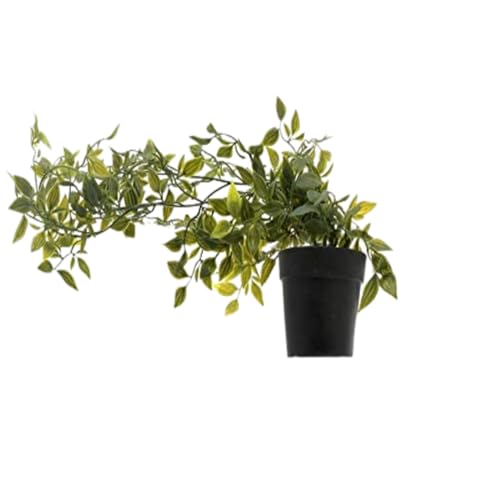 Image of Chitra Artificial Fern Plant with Pot for Home, Office, Living Room & Counter Decoration | Realistic Faux Greenery for Indoor Use | Durable Plastic Pot (7)