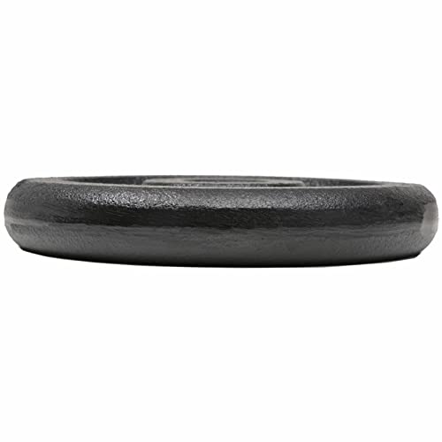 Tidyard Gewichtsschijven, gewichtsplaten, 8 x 2,5 kg, van gietijzer, halterschijven 20 kg, reservegewicht voor fitnessstudio, gewichtsschijven 20 kg, gewichtsschijven 20 kg - Afbeelding 5