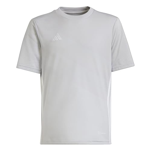 adidas Unisex Kids TABELA 23 Jersey Youth, Team Light Grey/White, 13-14 Years